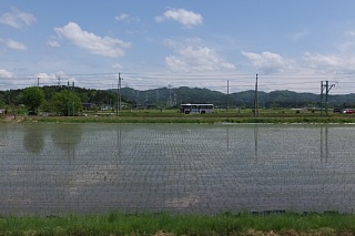photo-20170515-7