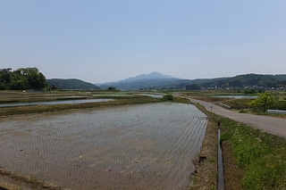 photo-20170529-10