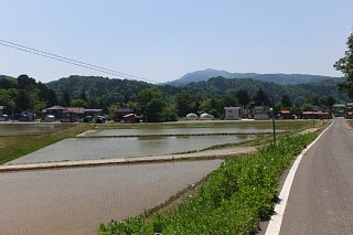 photo-20170529-8