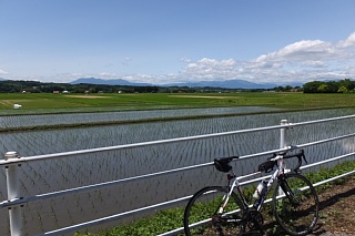 photo-20170604-1