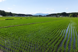 photo-20170610-11