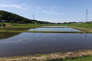 photo-20170610-2