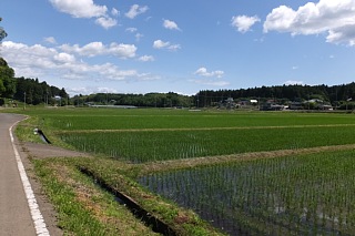 photo-20170610-3