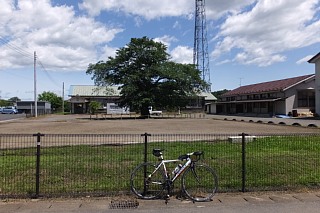 photo-20170610-4