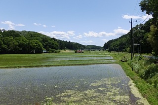photo-20170610-7