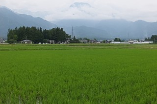 photo-20170620-1