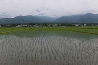 photo-20170620-3