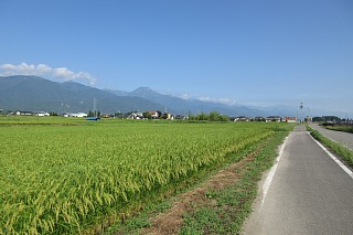photo-20170829-1