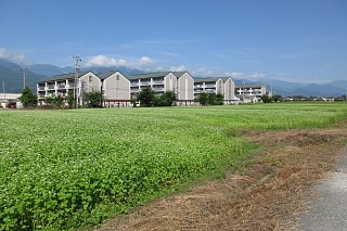 photo-20170829-2