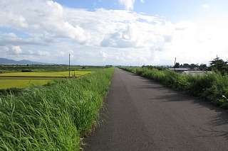 photo-20170904-10