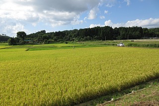 photo-20170904-9