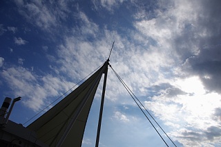 photo-20171112-1
