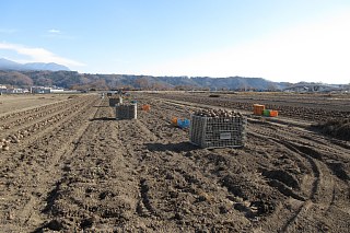 photo-20171210-2