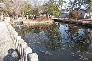 photo-20180121-4