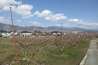 photo-20180312-2