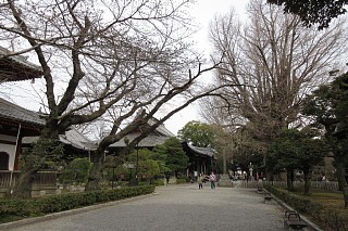 photo-20180318-1