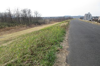 photo-20180318-2