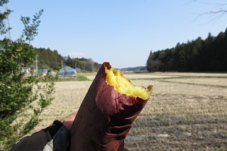 photo-20180325-4