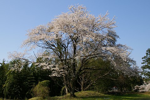 photo-20180331-3