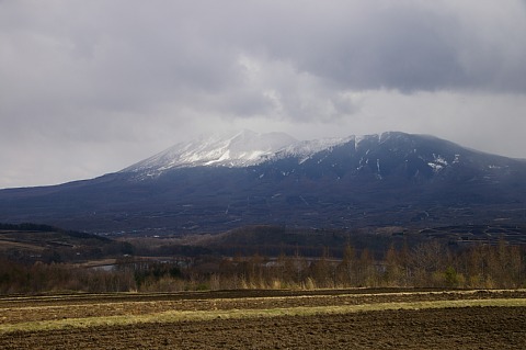 photo-20180408-6