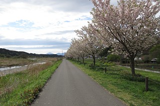 photo-20180415-2