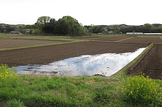 photo-20180415-4