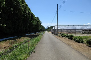 photo-20180520-3