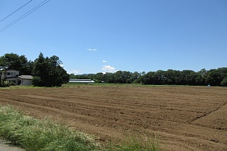 photo-20180520-4