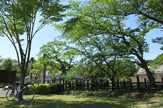 photo-20180520-5