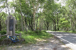 photo-20180722-6