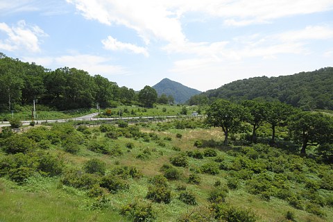 photo-20180805-1