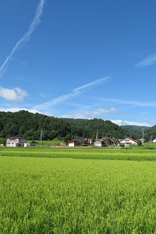 photo-20180819-2