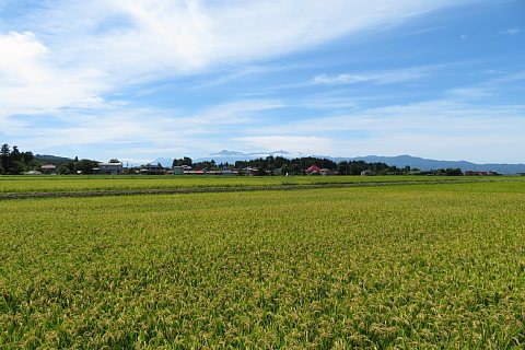 photo-20180819-5