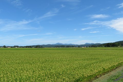 photo-20180819-6
