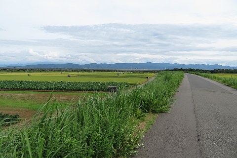 photo-20180902-4