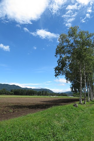 photo-20180909-1