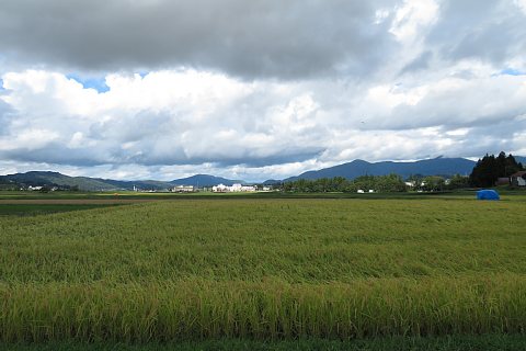 photo-20180917-1