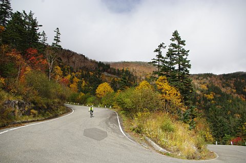 photo-20181008-2