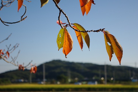 photo-20181021-5