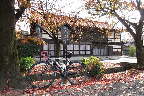 photo-20181118-1
