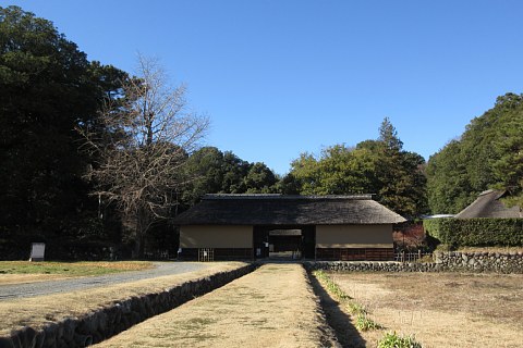 photo-20190102-3