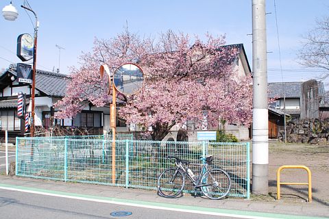 photo-20190317-1