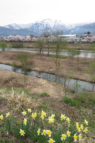 photo-20190422-4