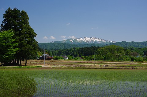 photo-20190520-7