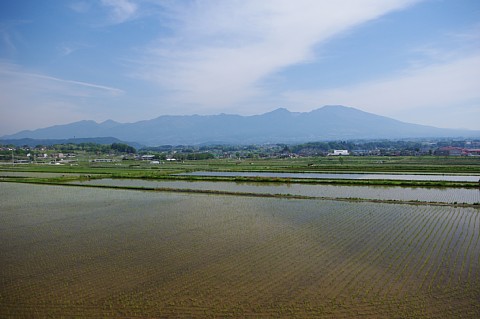 photo-20190526-1