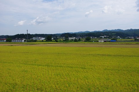 photo-20190902-1