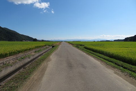 photo-20190916-11