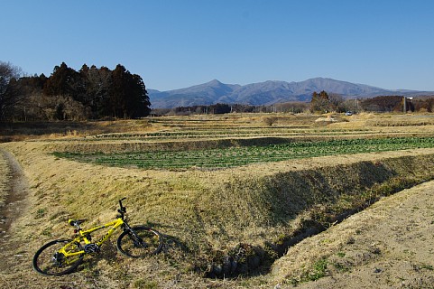 photo-20210220-3