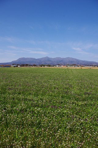 photo-20210307-2