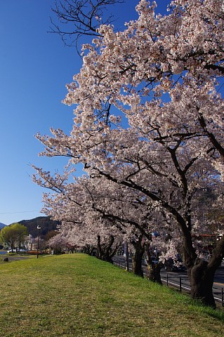photo-20210410-1